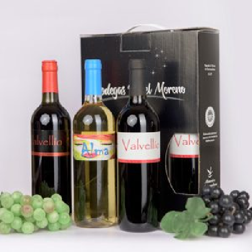 - Estuche 3 botellas